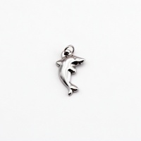 Ocean Dolphin Charm