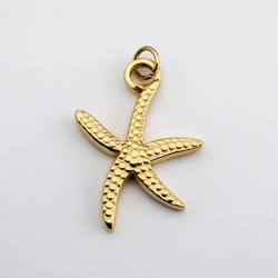 Ocean Star Charm