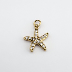 Star Charm