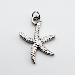 Ocean Star Charm